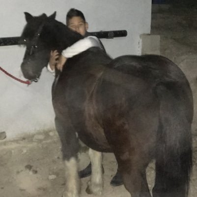 Rarbi20091's profile picture. 