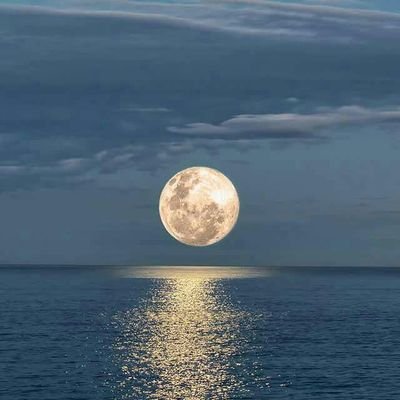 milliontwoti's profile picture. 