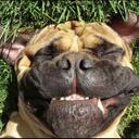 Daniel Barber - @dani_is_king - Twitter