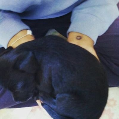 Kethy_Horan's profile picture. AND INSTAGRAN: KETHILLY RIBEIRO...



As Fuck