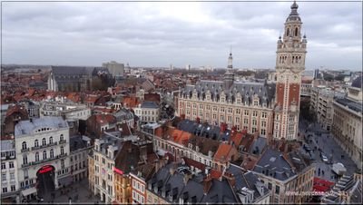 LillePhotos's profile picture. Do you love your city ? Check our pictures.