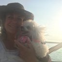 Amy Jo Petersen - @amyjopetersen24 - Twitter