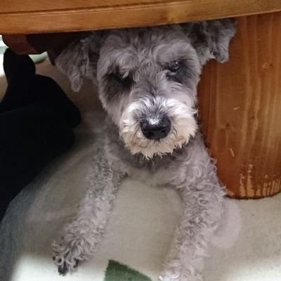 kanoglass's profile picture. 枡野浩一さん、銀色夏生さんが好き。花、カエル、ジュエリー、ガラス、いい匂いのするもの、クリアファイル。