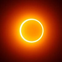 D (@dmarramaque) 's Twitter Profile