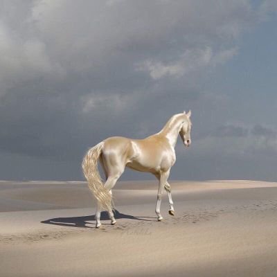 ms2rih's profile picture. 