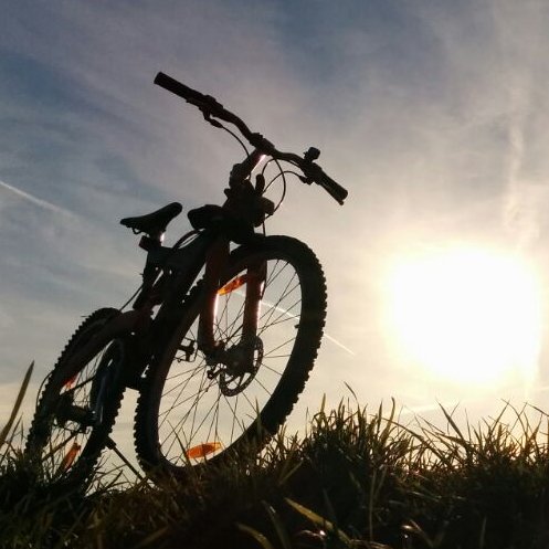 Rup3shD's profile picture. 