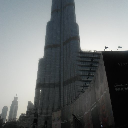 dful1now's profile picture. 