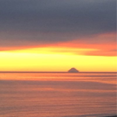 sprucecape2's profile picture. 