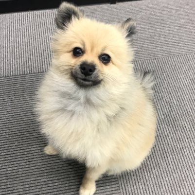 x_x_82's profile picture. ヘラクレス#1/県船橋/白井/野球/弱冷房車/Taylor Swift/HSM/Disney/千葉/Whisky/プランキング 適当にfollowよろしくでーす