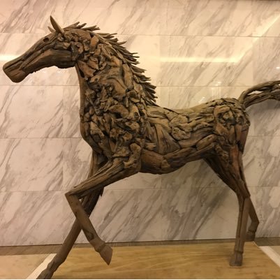 shujiezhao's profile picture. 