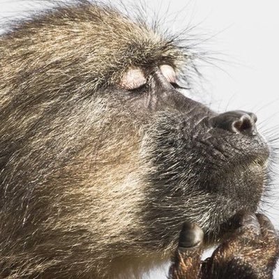 prattbrendan's profile picture. 