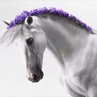 hasos_767's profile picture. 