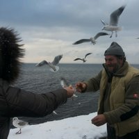îlyâs (@gezgindulger) Twitter profile photo