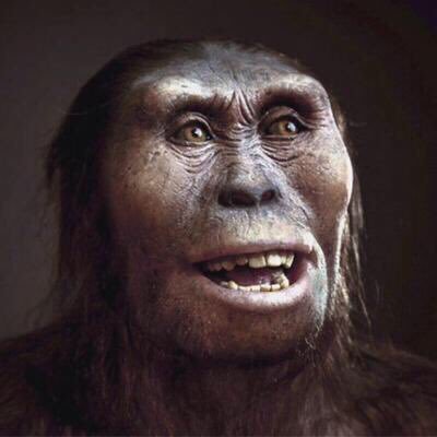 Homínida bajita, fan de los Beatles y las torrijas. Australopithecus afarensis nacida en Etiopía hace más de 3 millones de años. Hoy en @museoevolucion.