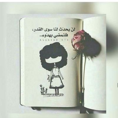 alnoooory90's profile picture. 