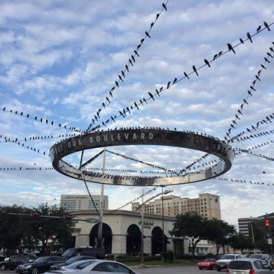 f_bueso's profile picture. The best things in life, are actually mistakes!!