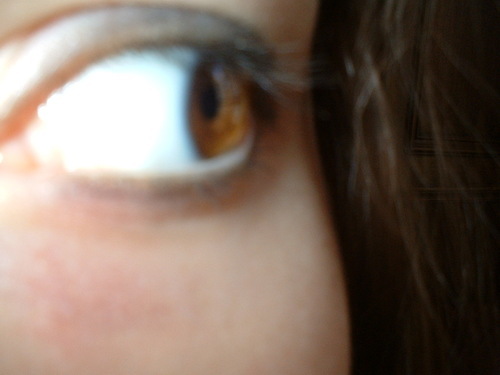 GineCap's profile picture. Sono gay e rompo le palle