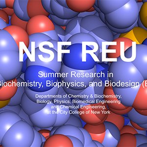 Twitter handle for the National Science Foundation Research Experience (REU) for Undergraduate Program in Biochemistry, Biophysics, and Biodesign @CityCollegeNY