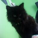 Bella Carroll - @BellaBear12 - Twitter