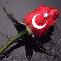 نبض تركيا NabdTurkey(@nabdturkey) 's Twitter Profile Photo