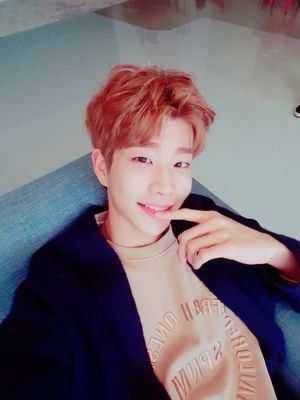 Ambarabà ciccì coccò un MJ sul comò🐸
Happy virus, lead vocalist, blablabla wanna be your star!🌟