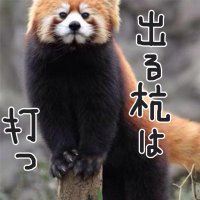 よいづき (@yoi_fool) 's Twitter Profile