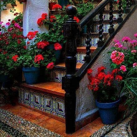 AlsenaidiYuma's profile picture. 