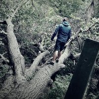Piotr Kowalewski (@piotr__kowal) 's Twitter Profile