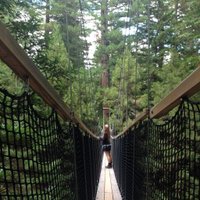 Kim (@collectedbykim) 's Twitter Profile