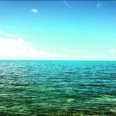 belowzero22's profile picture. I love keys and i love to chill😎