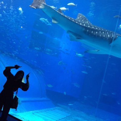 tnsk0902's profile picture. 