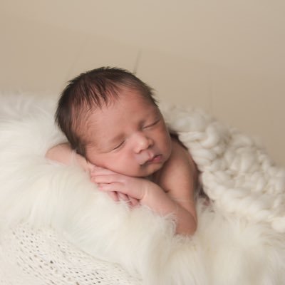 Newborn Photography & Baby Portrait Studio