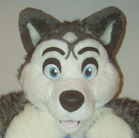 The Silly Husky