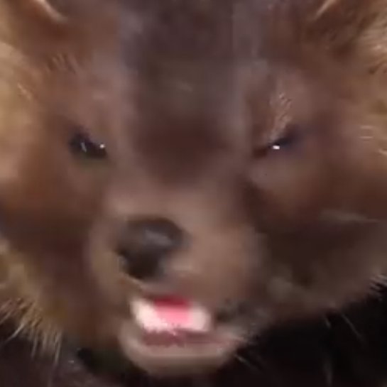 alexrmatz's profile picture. 