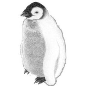 上原潔 Profile