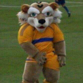 Nacimos Campeones, solo Tigres.