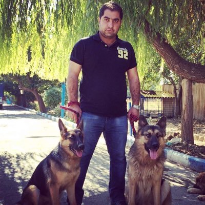 omid_nia's profile picture. 