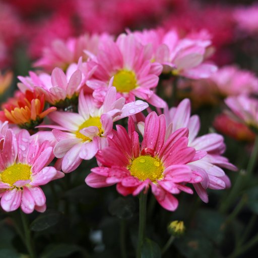 I am a christian,I feel sweet love in my life for God's love.