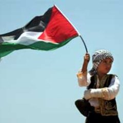 EfendiAswin's profile picture. 