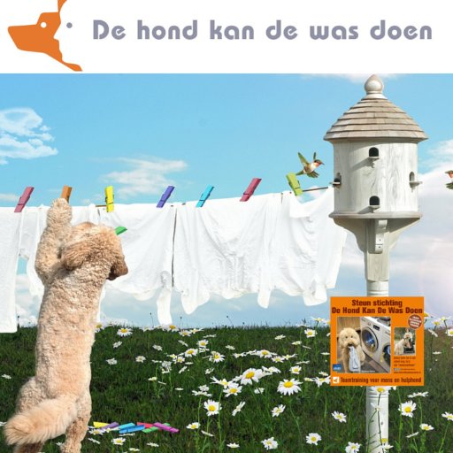 Stichting DHKDWD #hulphonden | streven naar zelfstandigheid van mensen met een beperking De Hulphond als mantelzorger 24/7! Help je Helpen?