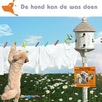 Dehondkandewasdoen (@hondkanwasdoen) 's Twitter Profile Photo Dehondkandewasdoen (@hondkanwasdoen) 's Twitter Profile Photo