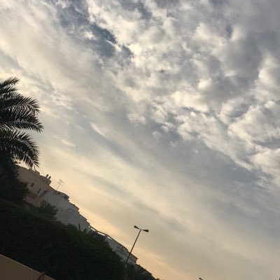 bartootchan's profile picture. 