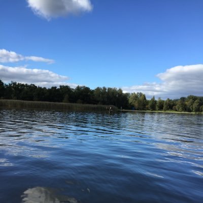 901sander's profile picture. 