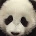 Tom (@tom0m0m0m) Twitter profile photo Tom (@tom0m0m0m) Twitter profile photo