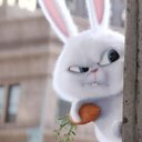 Natalia Bernard - @Natalia80207485 - Twitter