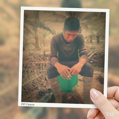 andhya735's profile picture.