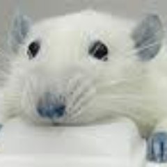 UnfinishedStuff's profile picture. 