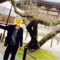 さっしー (@syachou08) 's Twitter Profile