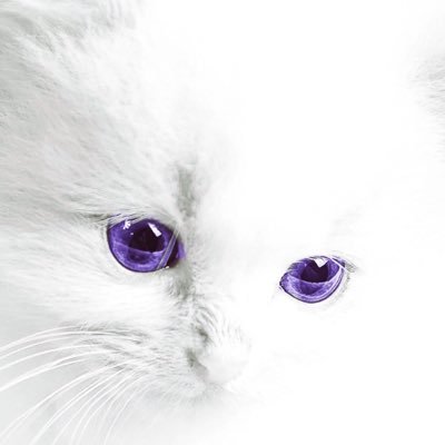 ibode25's profile picture. Games NFL Pop