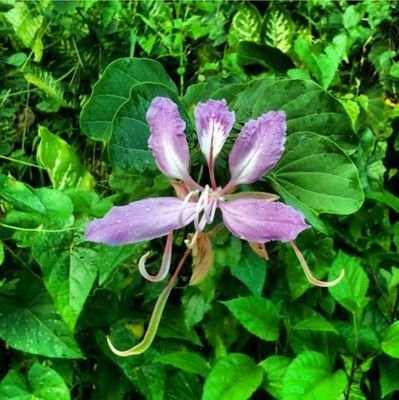 TDestinysWriter's profile picture. Writer | Aspiring artist | Working on original short story series #MisadventuresInReporting, and #MiraculousLadybug fanfics.